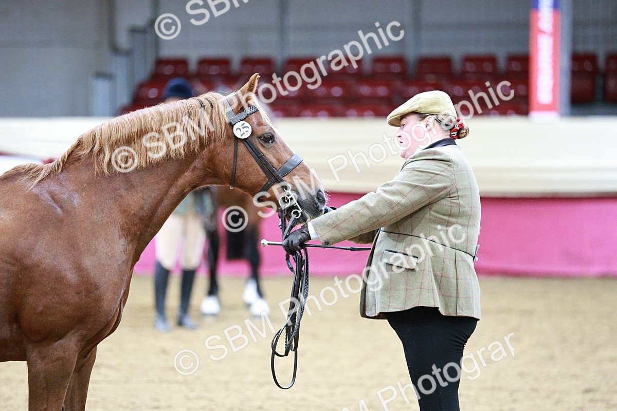 SBM_00300 - Class 1A - Area IH Diamond