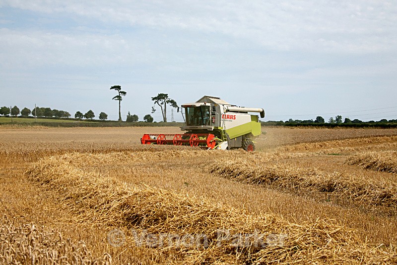 Harvesting in Sussex - UK. Landscapes