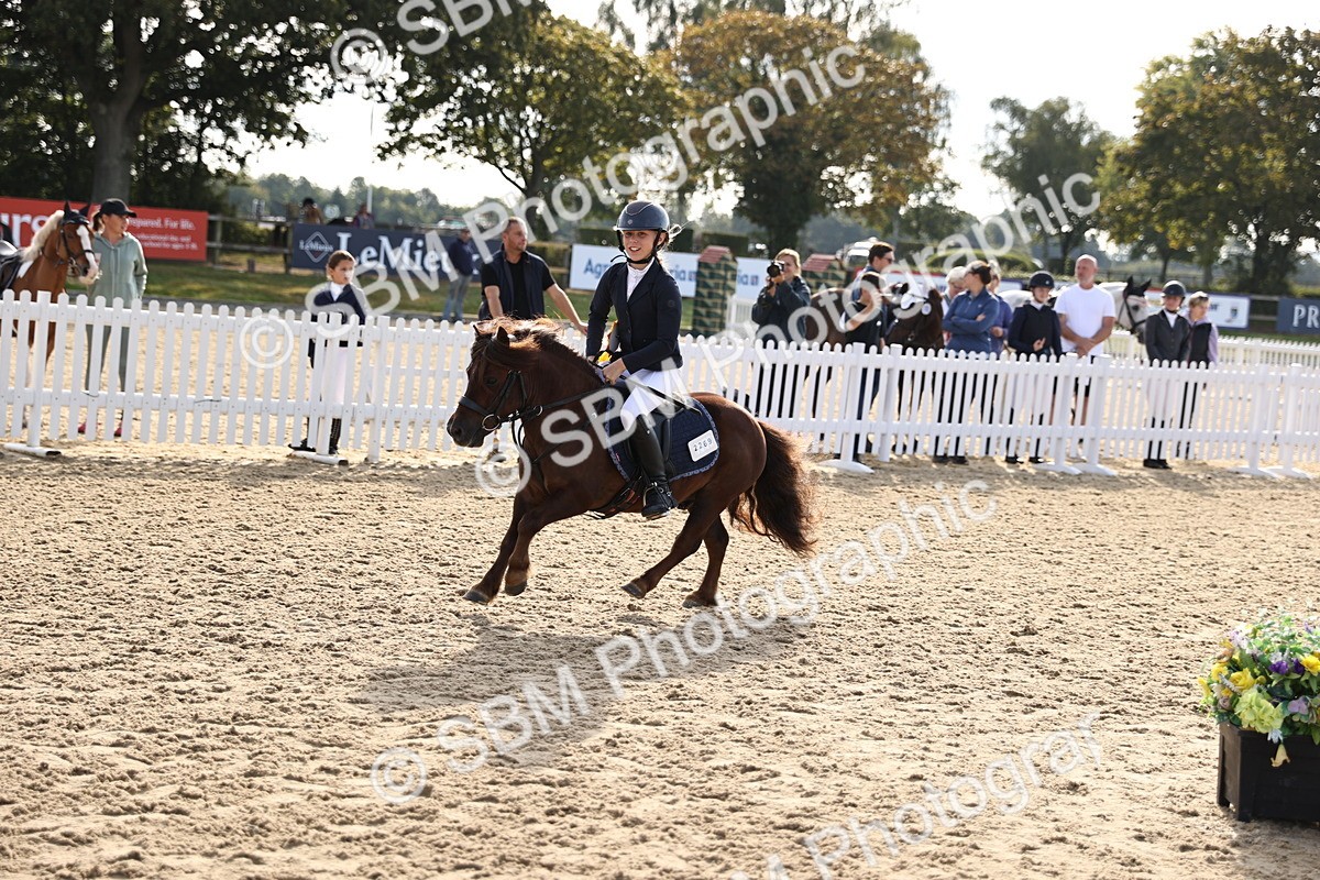 SBM_59804 - J11 - Junior Pony 50cm Championship