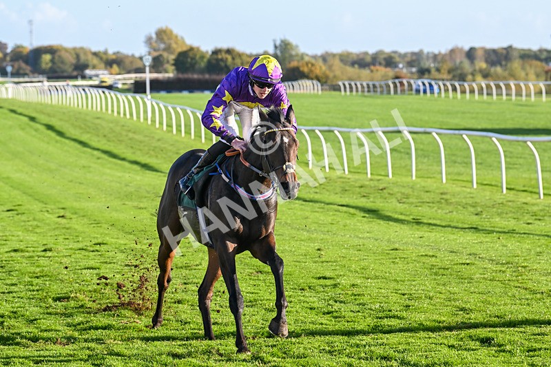 191024-Race 6-Racingbreaks Ryder-4598 - Race 6