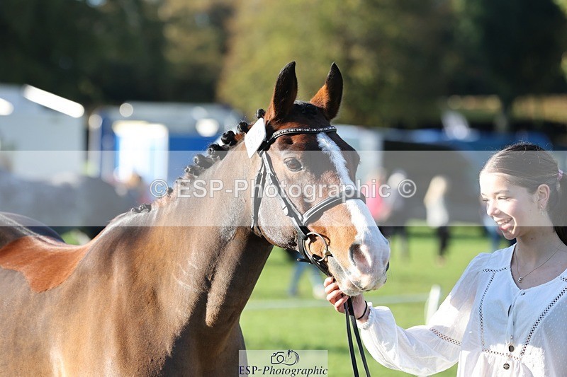 241027-091901-15207 - 375-Erin.Brown-50.SHADES.OF.BAY