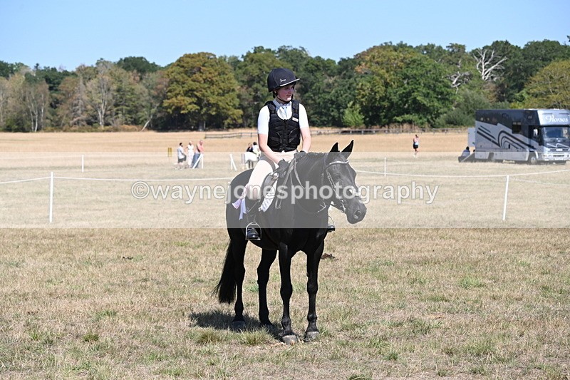WJ6_9101 - Class 38 Ridden Riding Horse/Pony