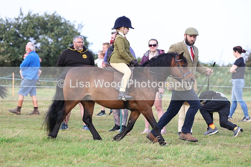 3E7A3551 - Class 2: Lead rein