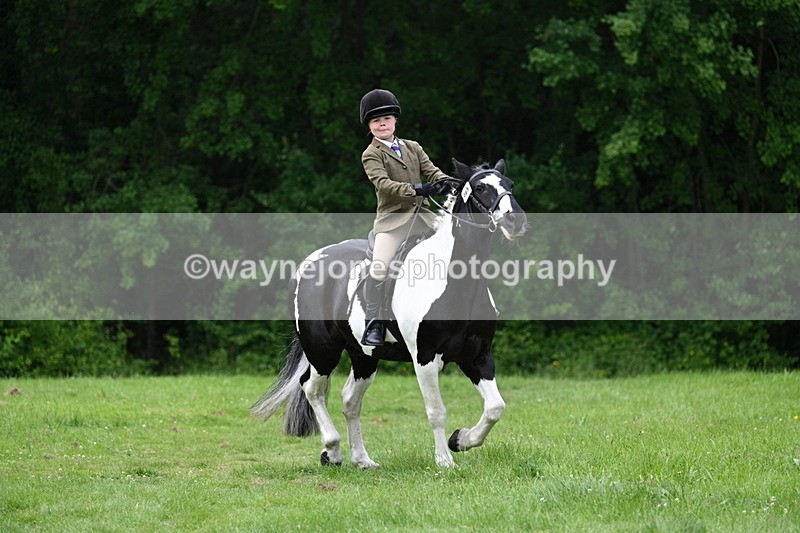 WJ7_2390 - Class 12A Coloured Class