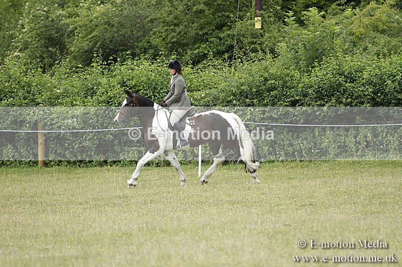 BVR160717-122 - Ring 3 BVRC Show 16/07/17