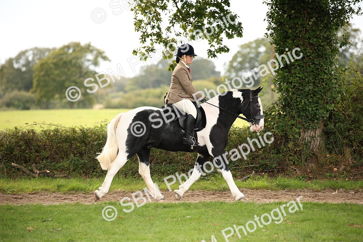 SBM_72356 - S67 - Show Cob Ridden