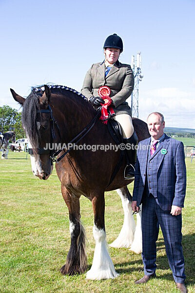 DSC_0264 - Ring 1