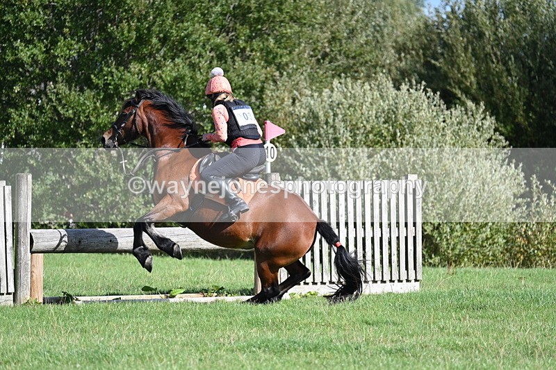 WJ7_1314 - Time 13:56 to 14:24