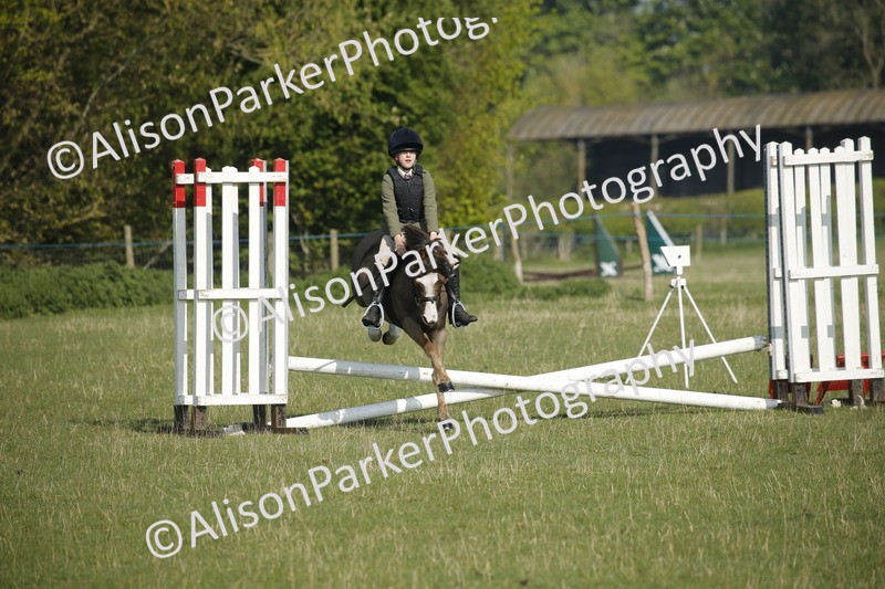 20250427-0266 - Class 12 - Rookie Jumping 40cm