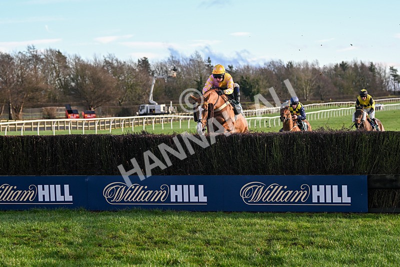 281224-Race 3-Pescatorius-4282 - Race 3