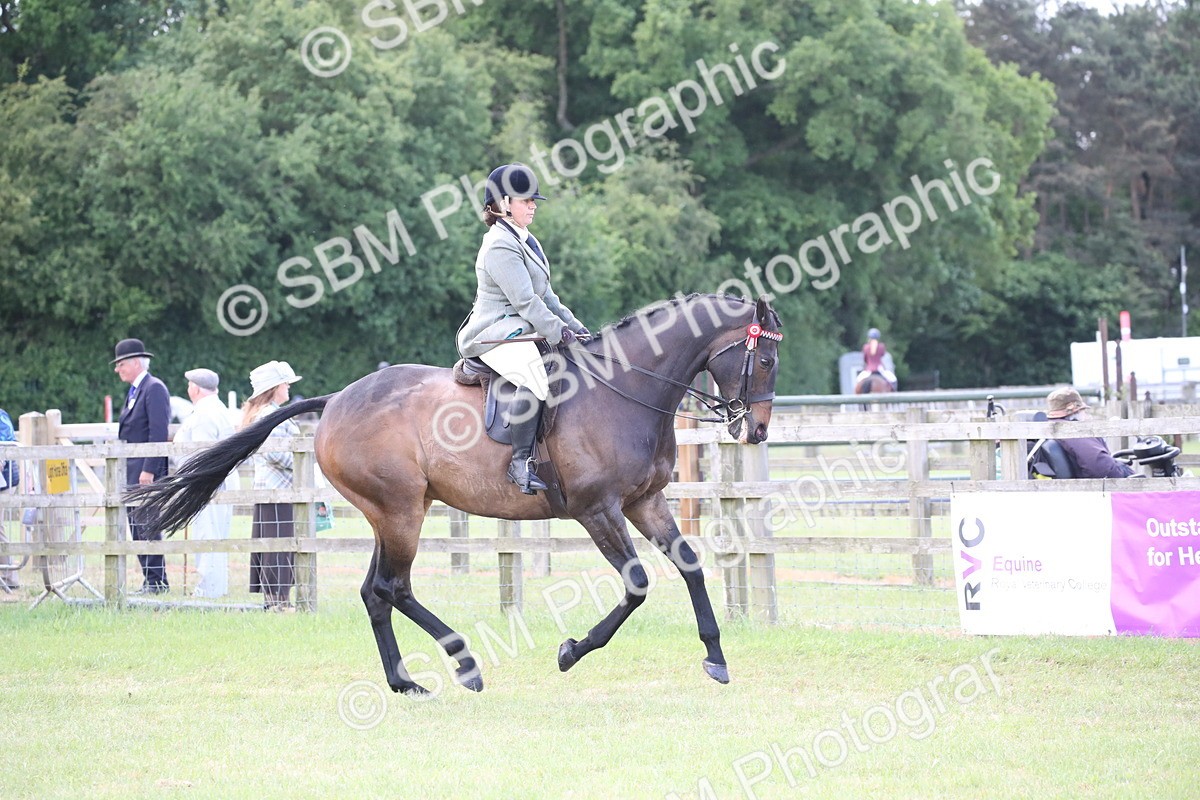 SBM_14186 - Class 113-114 - Retraining of Racehorses Ridden