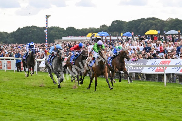 240824-Race 3-Breege-1416 - Race 3 3.00pm Sky Bet City Of York Stakes