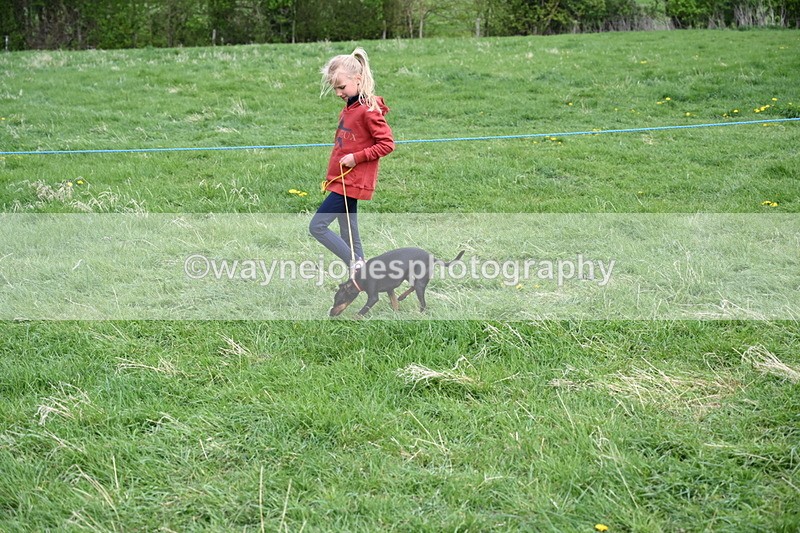 WJ6_8096 - Class 2 Best Pedigree