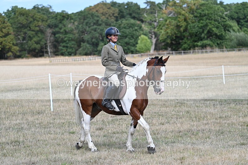 WJ7_6661 - Class 14 Ridden Coloured