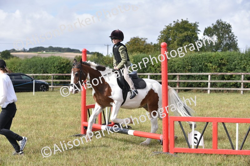 20250831-0483 - Class 7 - Absolute Novice 35cm