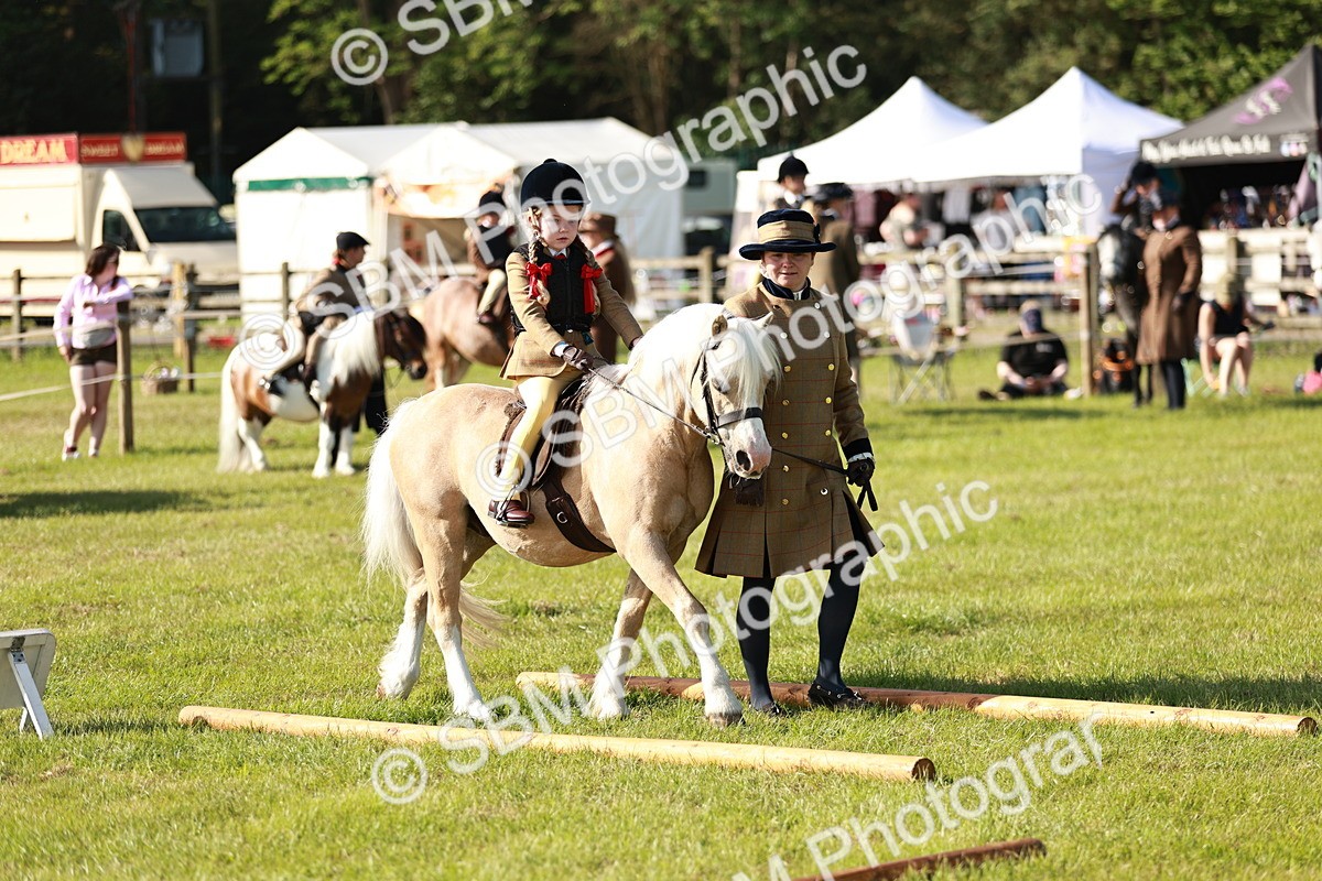 SBM_11244 - Class 106-107 - BSPS LIHS Working Sports Pony