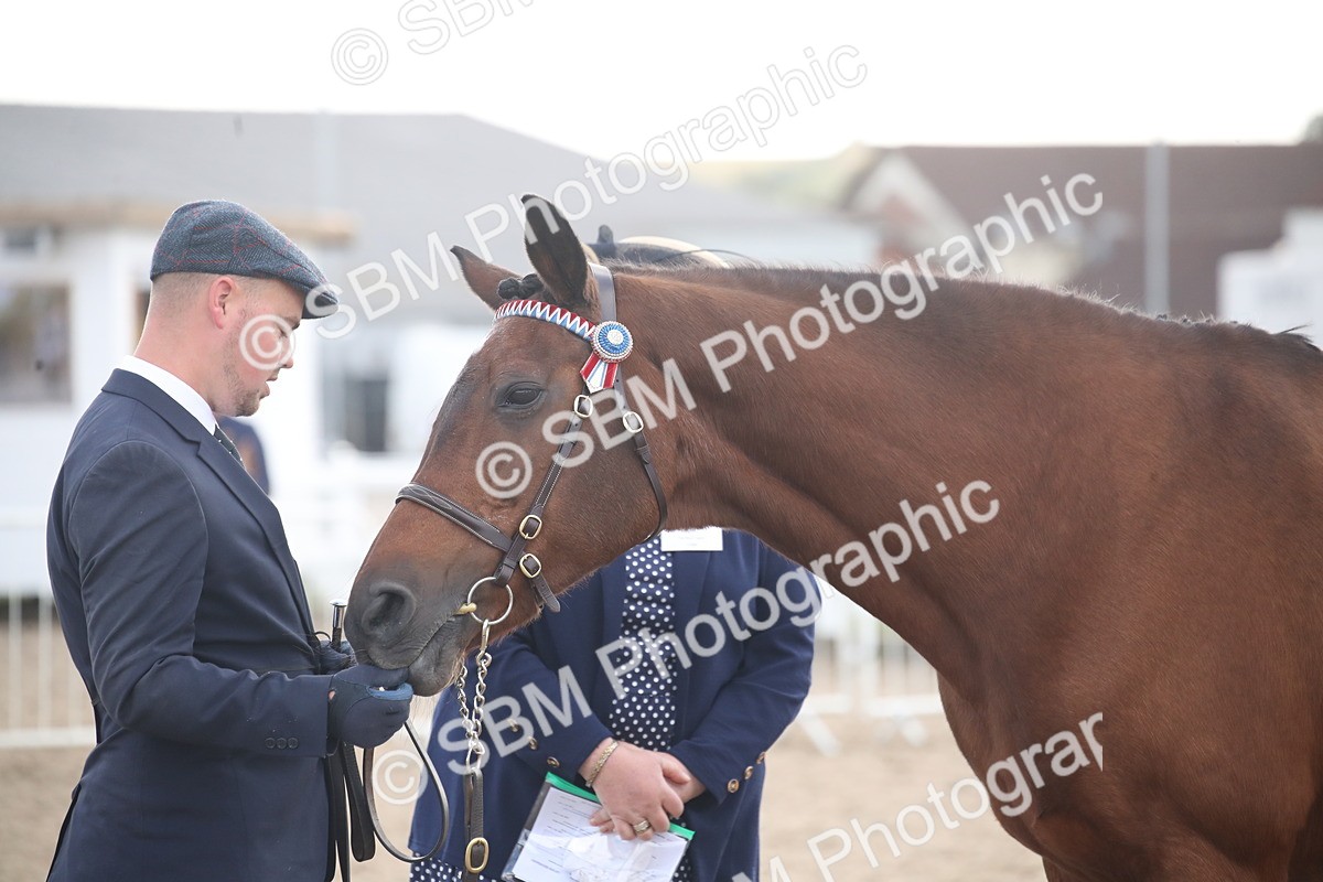 SBM_23437 - Class 604 - 2026 - Area IH Diamond