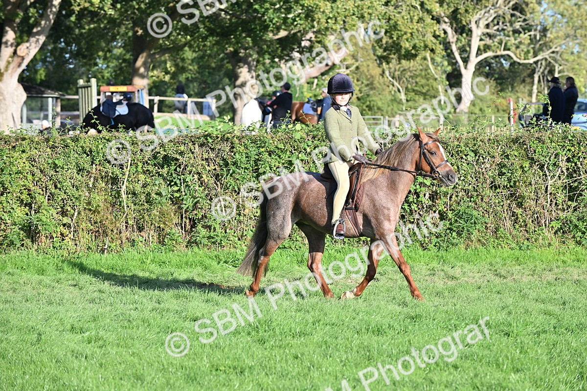 SBM_53040 - S23 - First Ridden Mountain & Moorland Pony