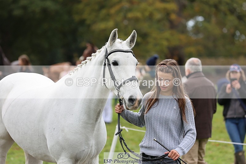251026A-113619-25558 - F-479-Poppy.Wellman