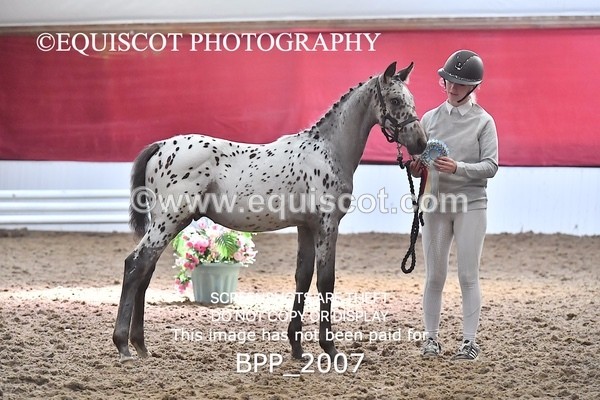 BPP_2007 - AFTERNOON 12.30 - 3.30PM