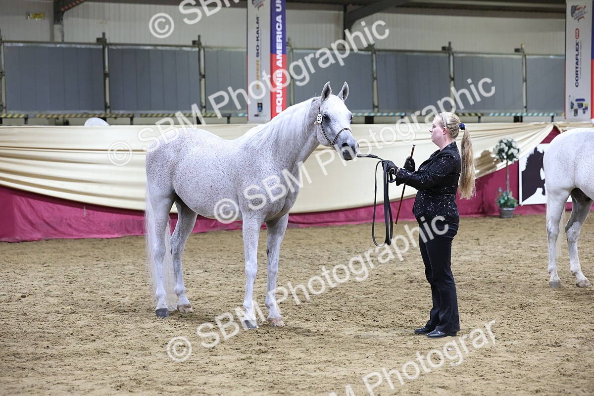 SBM_20733 - Class J - Foreign Breeds Champ