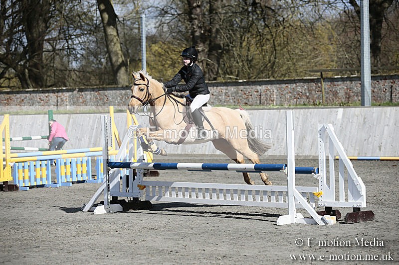 BVRC SJ 170319 522 - Bourne Valley Riding Club Showjumping 17/03/19