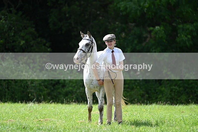 WJ7_1359 - Class 11 Condition & Turnout