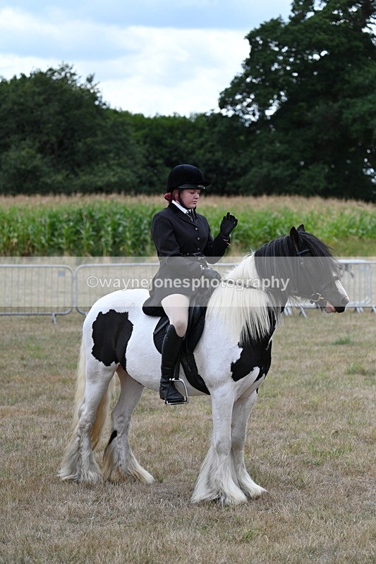 WJ7_4486 - Class 11 Family Mount