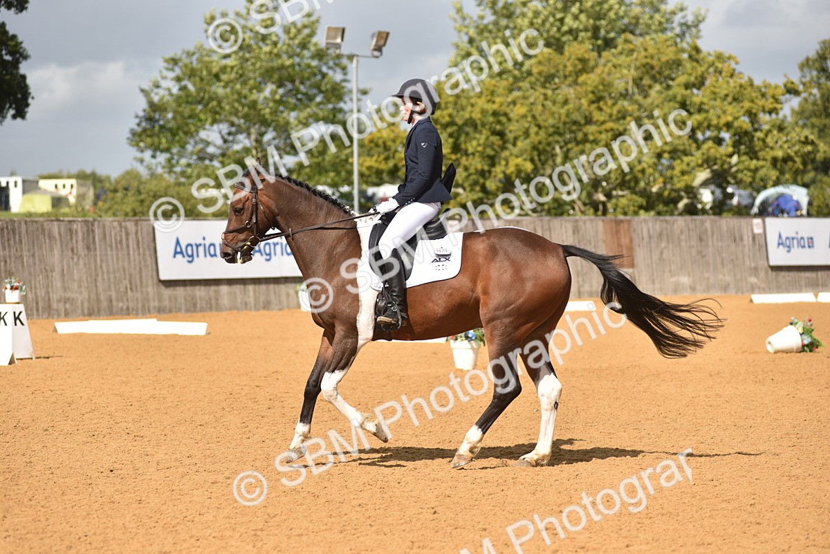 SBM_07730 - D15 - Small Tour Championship Novice 1