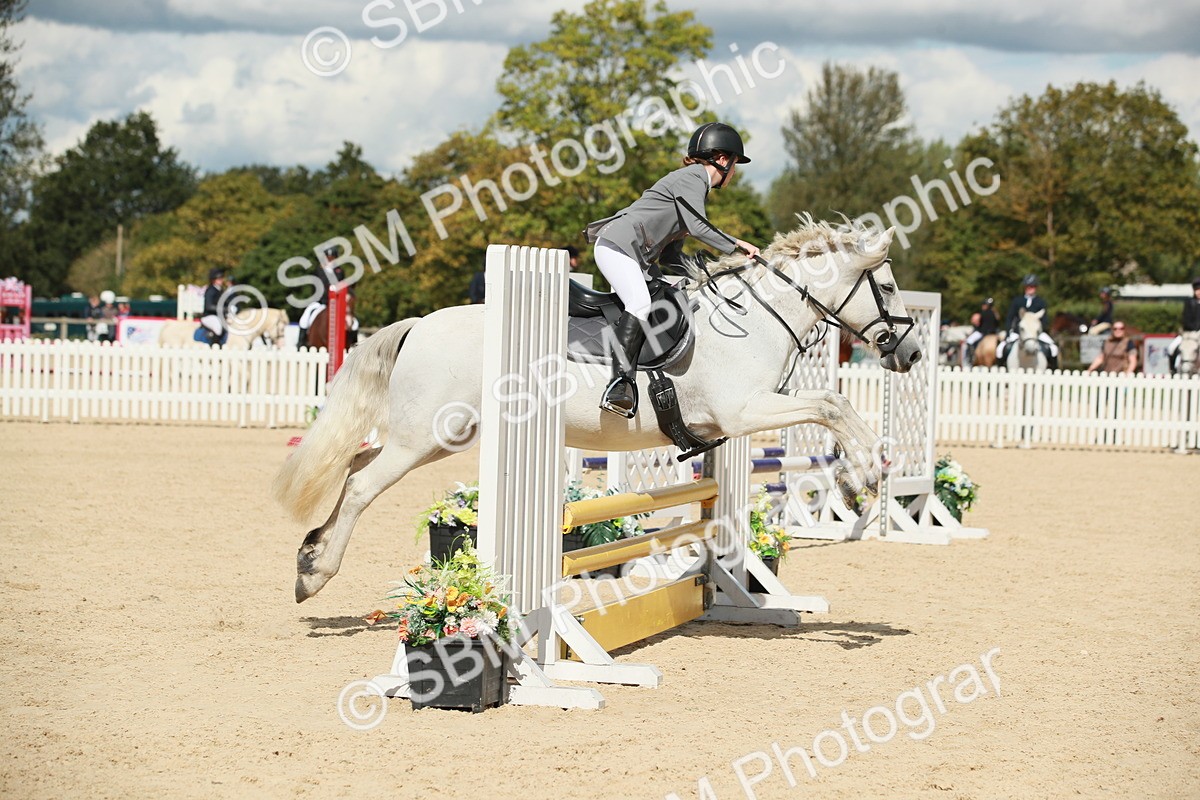 SBM_06240 - J29 Senior 65cm Championship
