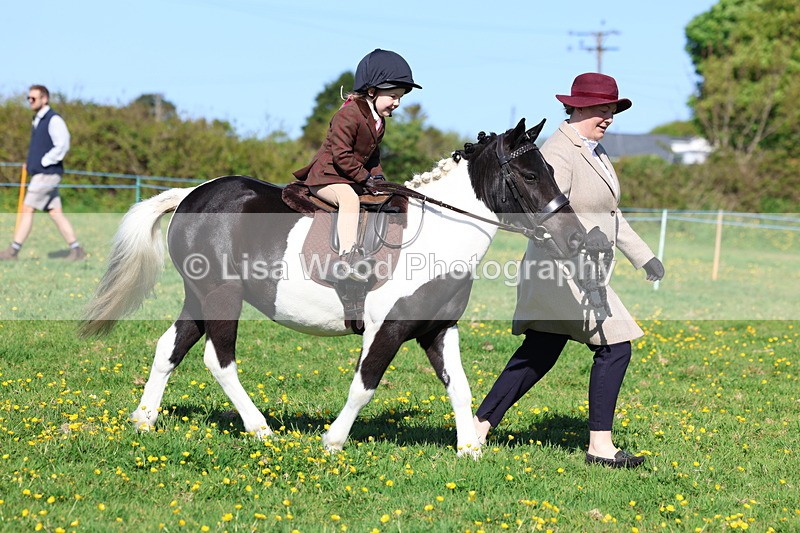 3E7A8863 - Class 2: Lead rein