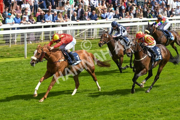 yr10062022r3-31 - Race 3 3.00pm British EBF supporting Racing with Pride Fillies' Handicap