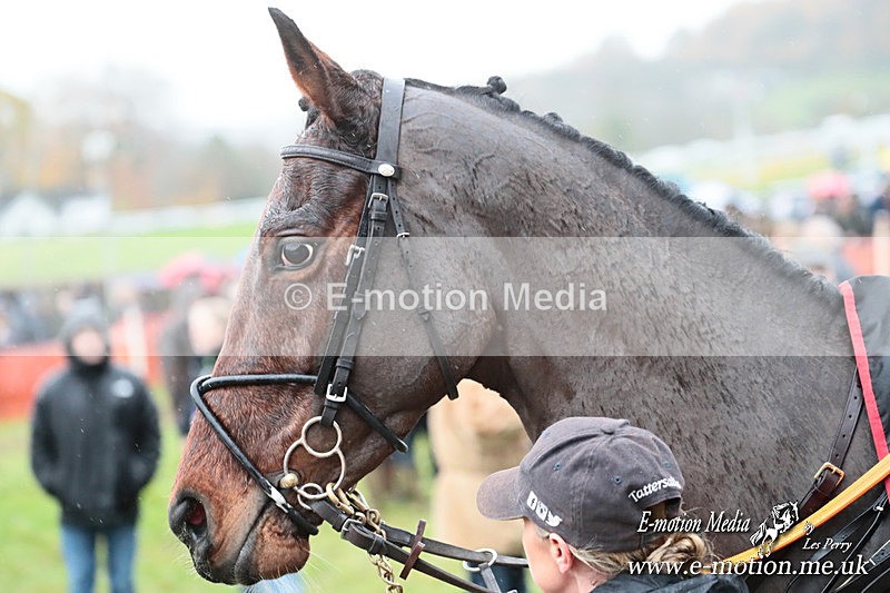 PtP 091125 0944 - Point-to-Point Wales Area Club Lower Machen, Gwent 09/11/25