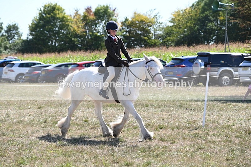 WJ6_8968 - Class 38 Ridden Riding Horse/Pony