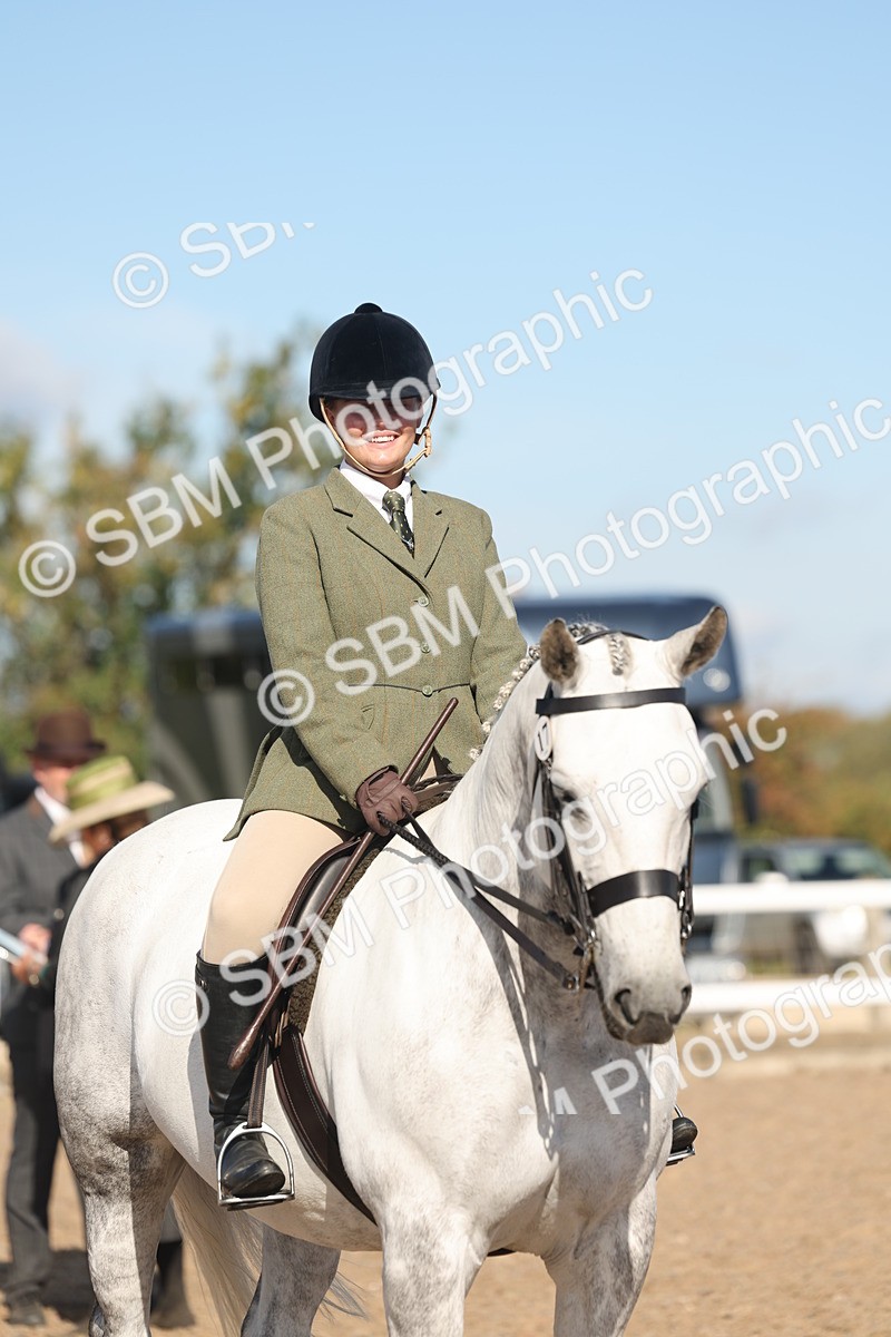 SBM_12358 - Class 304 - Ridden part Bred Horse Pony