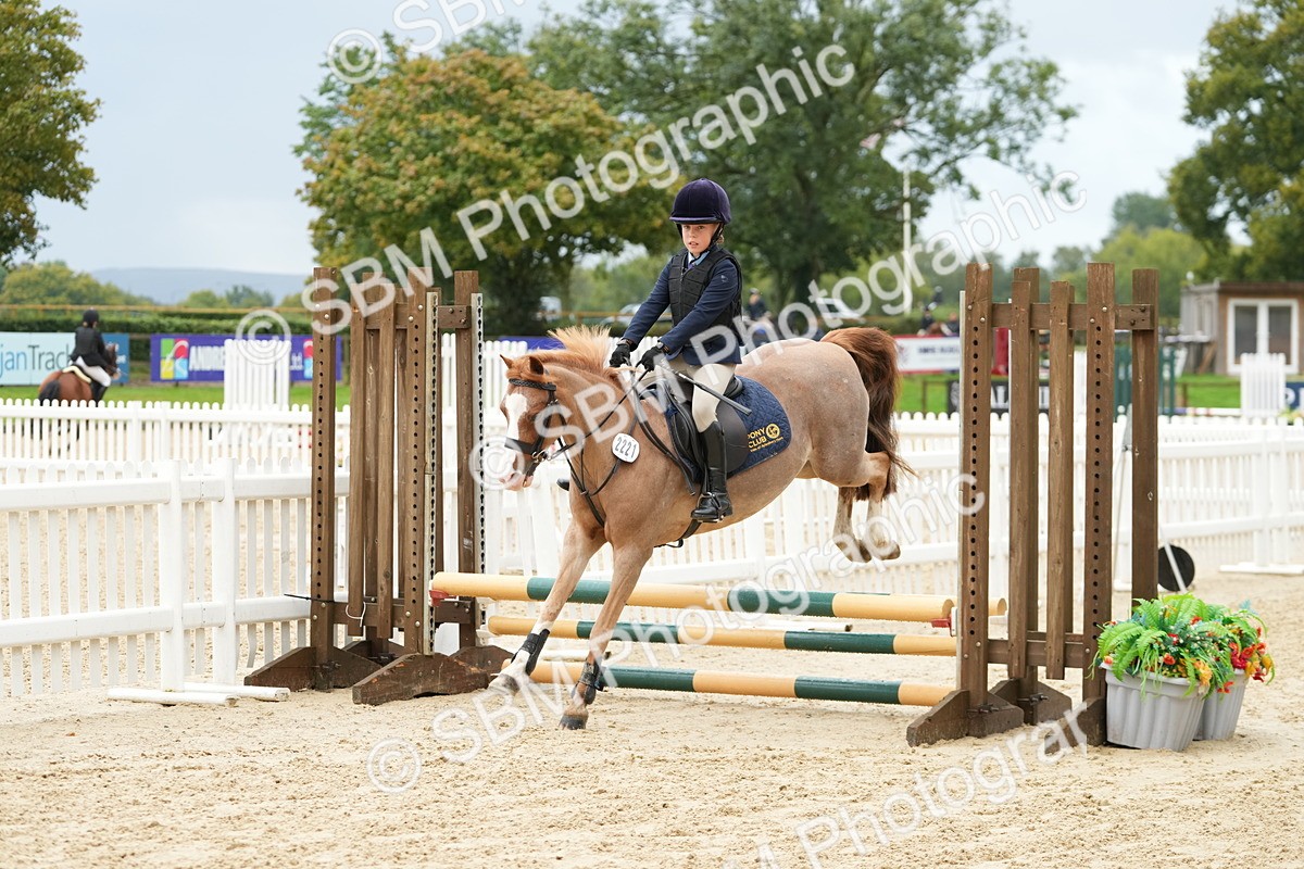 SBM_33406 - J5 - Junior Pony 50cm Championship