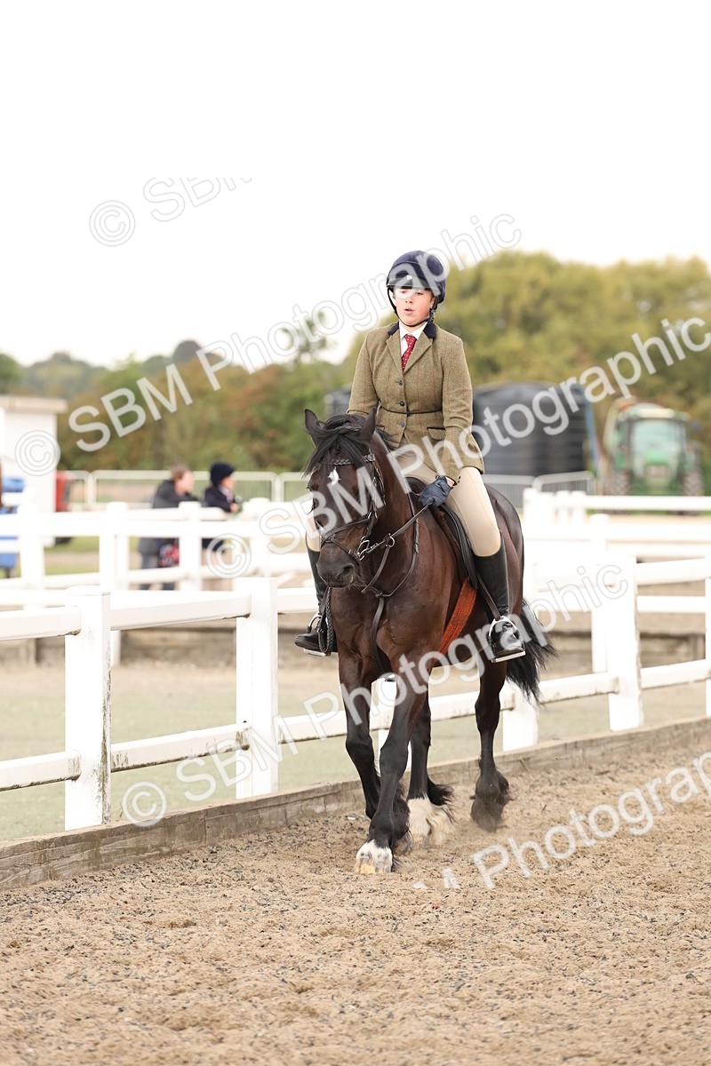 SBM_07554 - Class 59b -  Style & Performance - 80cm (20+)