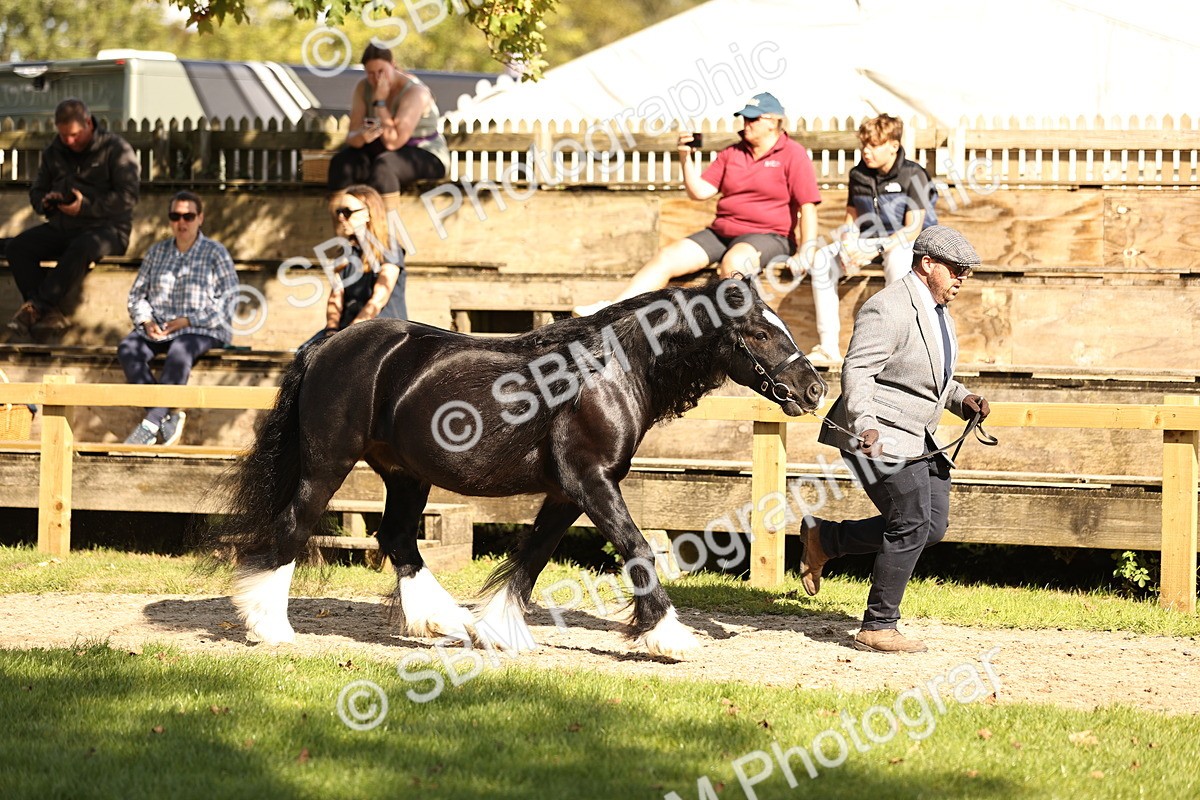 SBM_26168 - S5 - Novice & Newcomers In Hand