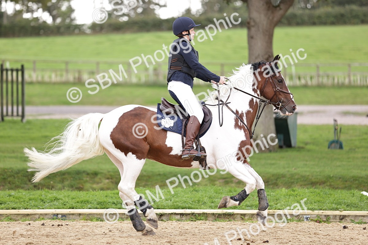 SBM_06933