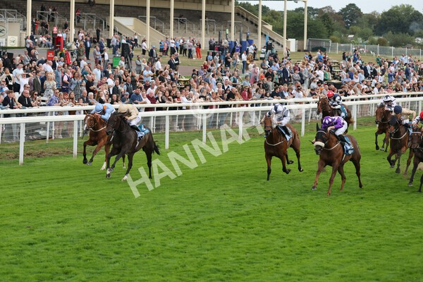 yr04092022r7-21 - Race 7 5.15pm Firmament Stakes