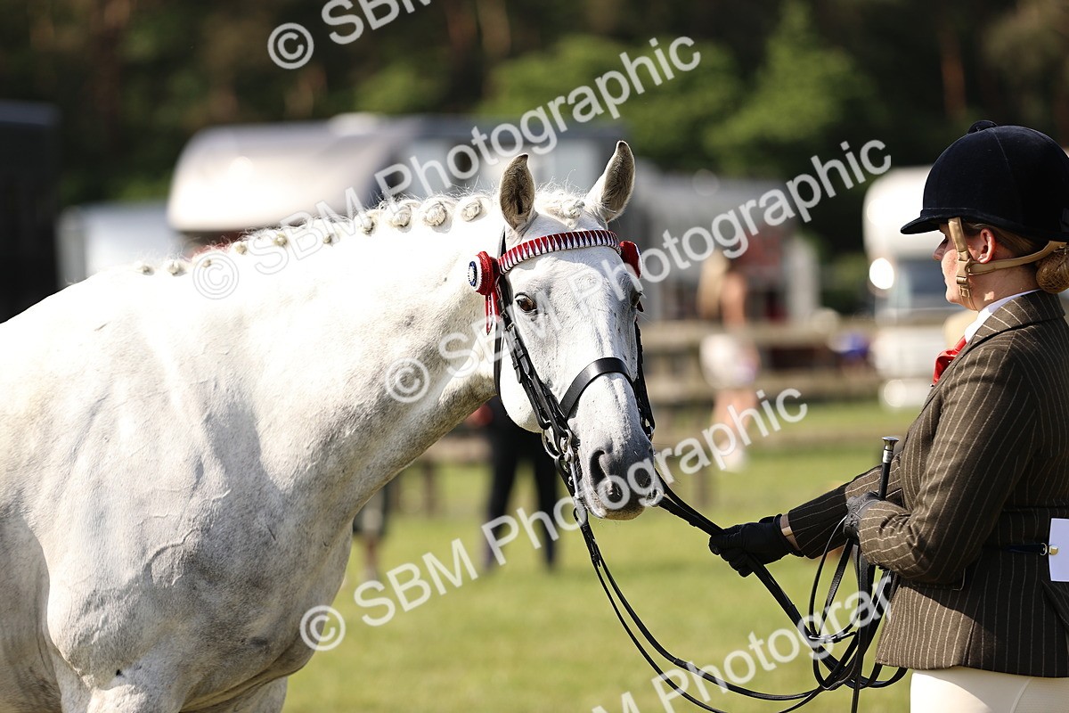 SBM_12942 - Class 75-76 LIHS BSHA Rising Star Hack Riding Horse