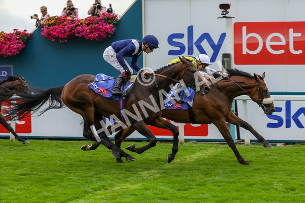 230823-Race 5-Forza Orta-4473 - Race 5 4.10pm Sky Bet Stayers Handicap