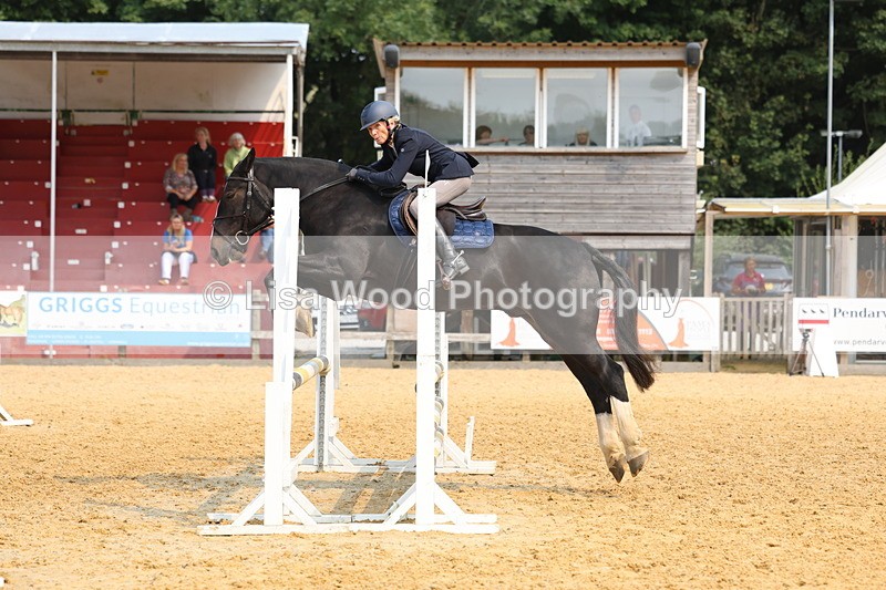 3E7A1575 - Class 4: Senior British Novice/90cm open