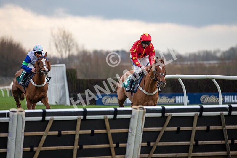 171224-Race 4-Wise Eagle-0158 - Race 4