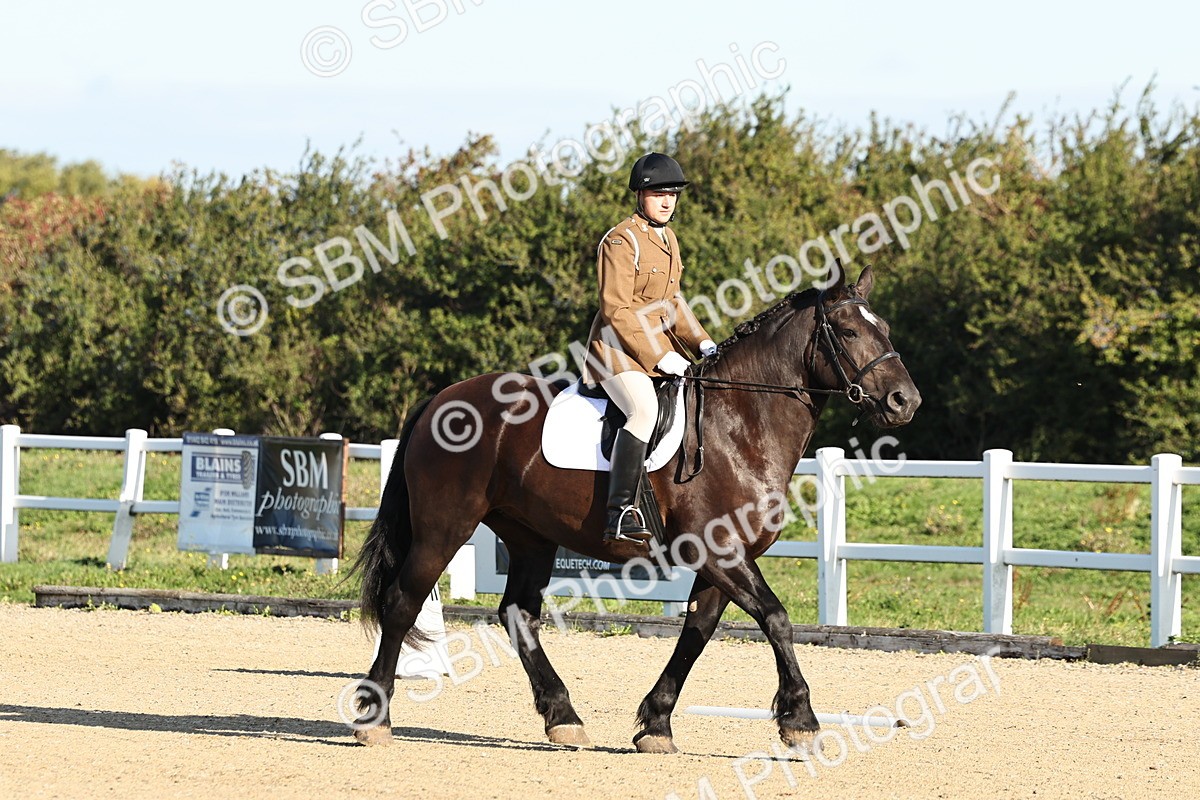 SBM_003083 - Class 66 - Intro 3