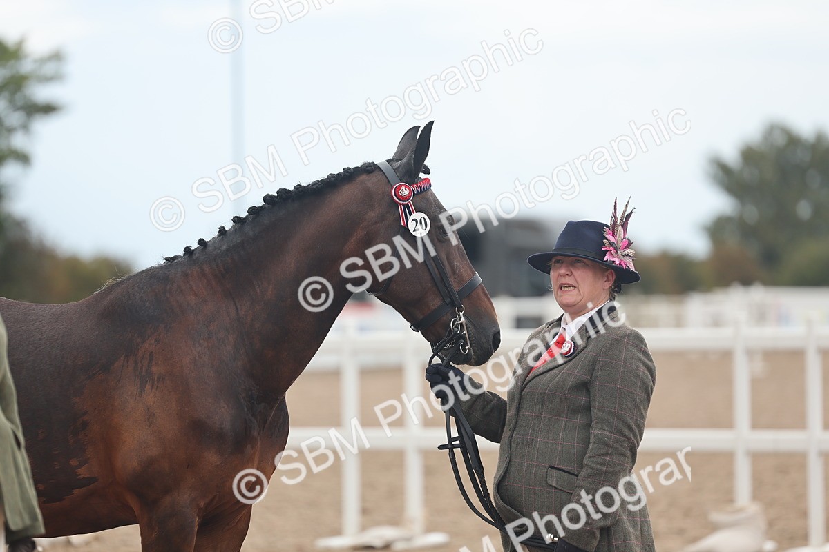 SBM_07820 - Class 27 - IH Competition Horse/Pony