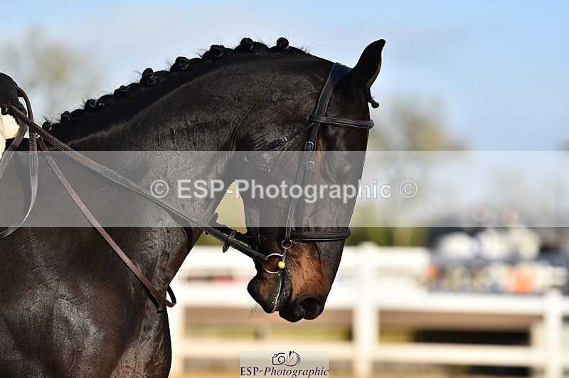 231104A-094756-01201 - Cls 1 Prelim 15