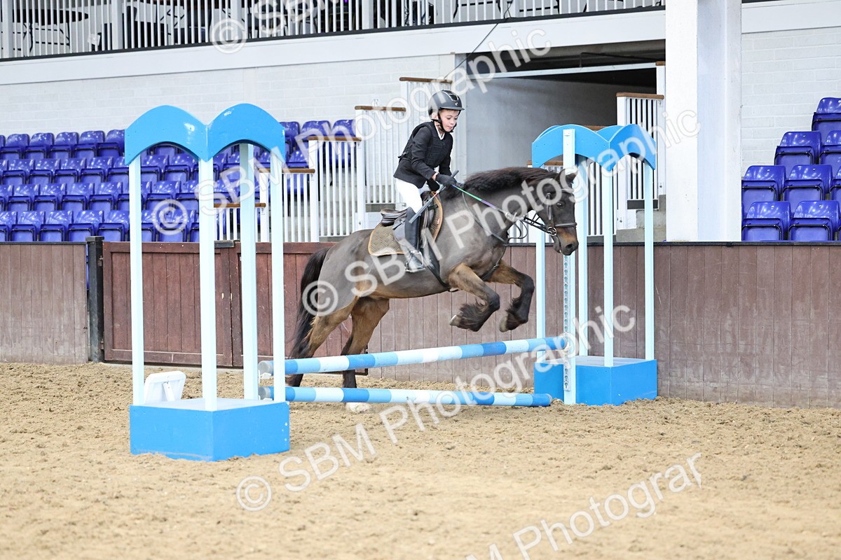 SBM_007407 - Class 2 - 50cm showjumping