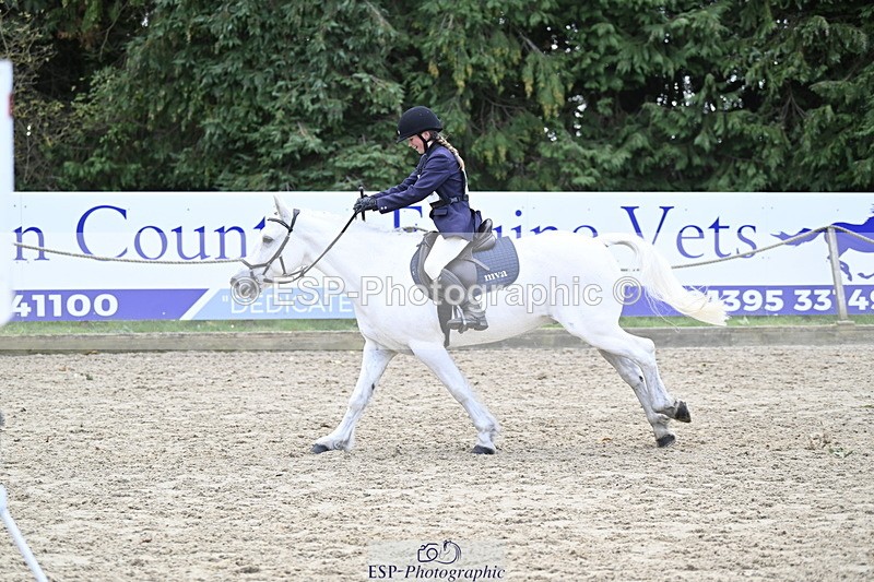 251005A-130605-04053 - Cls 08 Mini 70-75cm