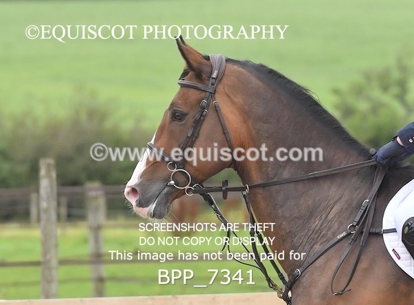 BPP_7341 - CLASS 6 National 1.30m Open